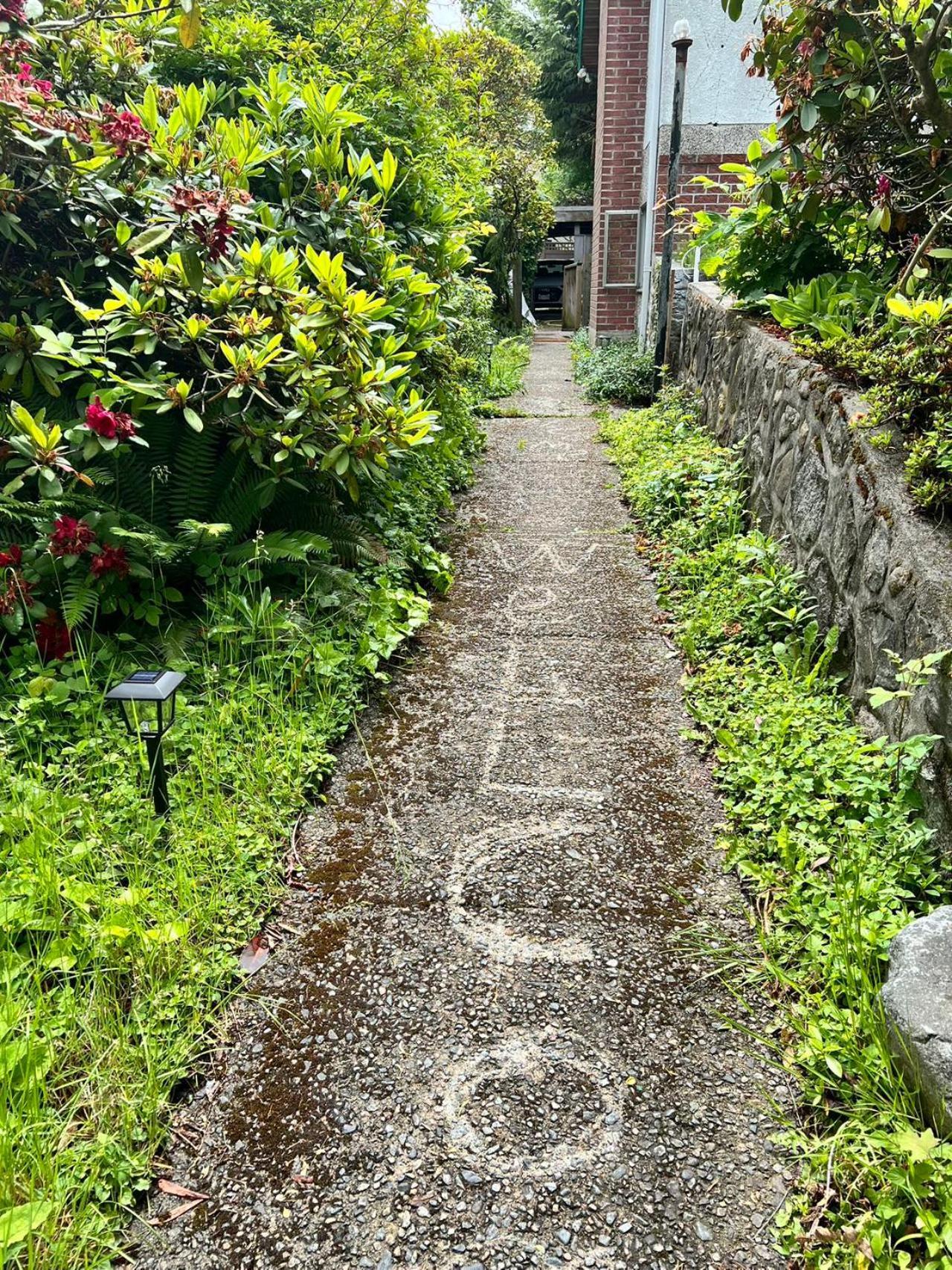 Green House In Vancouver West Dış mekan fotoğraf